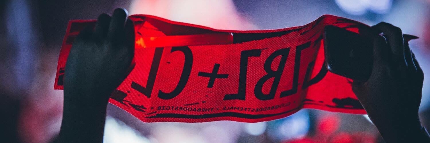90Lioness's profile banner image