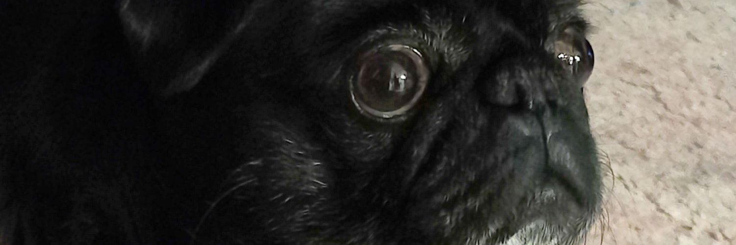 suteffani's profile banner image