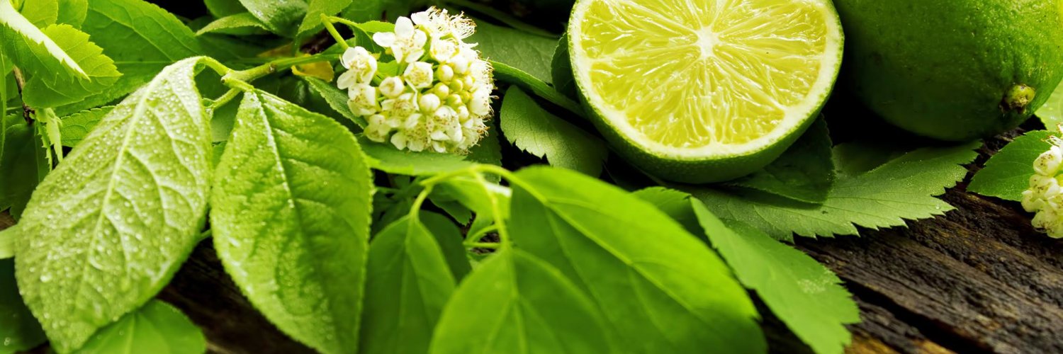 KeyLimePR's profile banner image