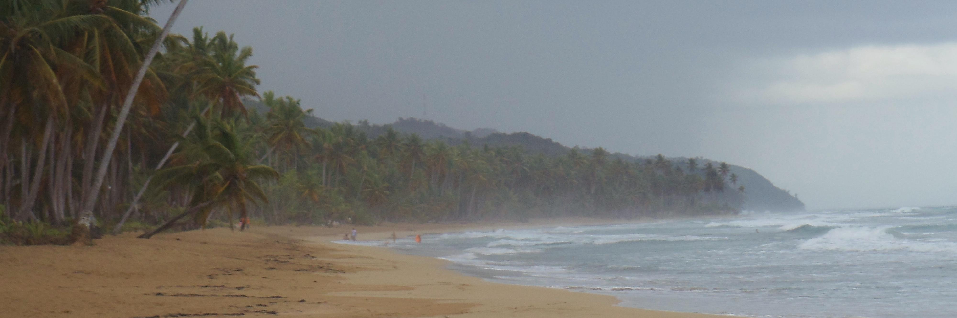 Alexis De Lancer banner