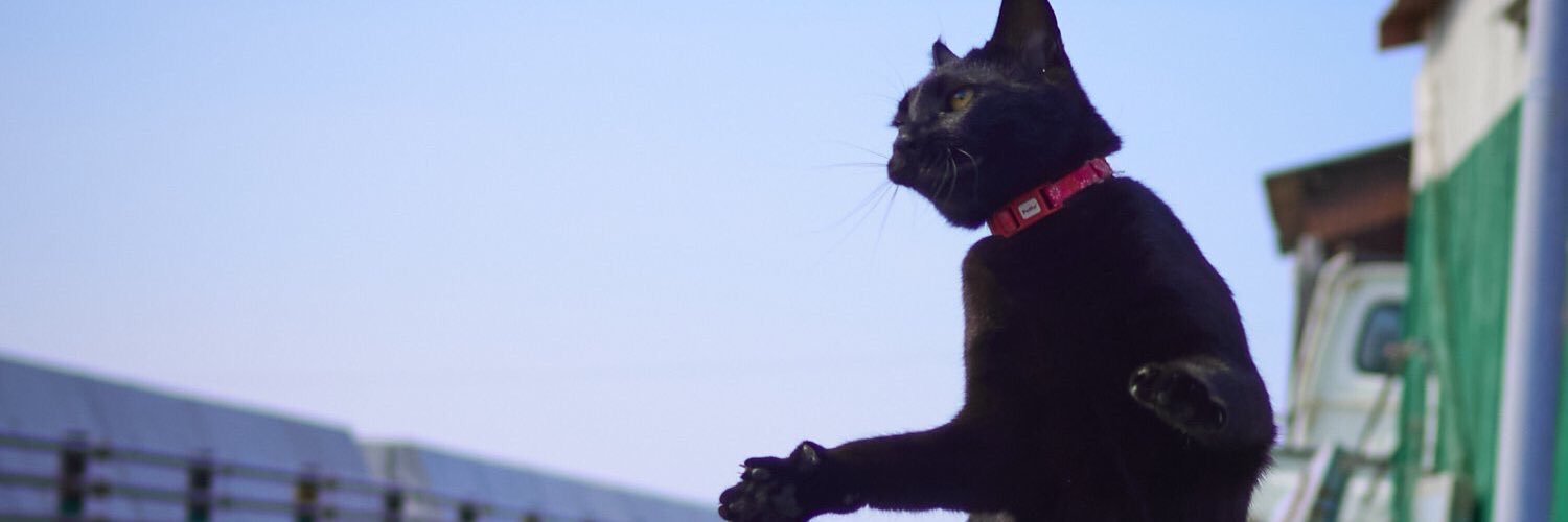 rexriviera's profile banner image