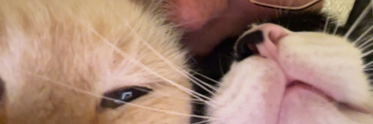 aShKeTcHuP83's profile banner image
