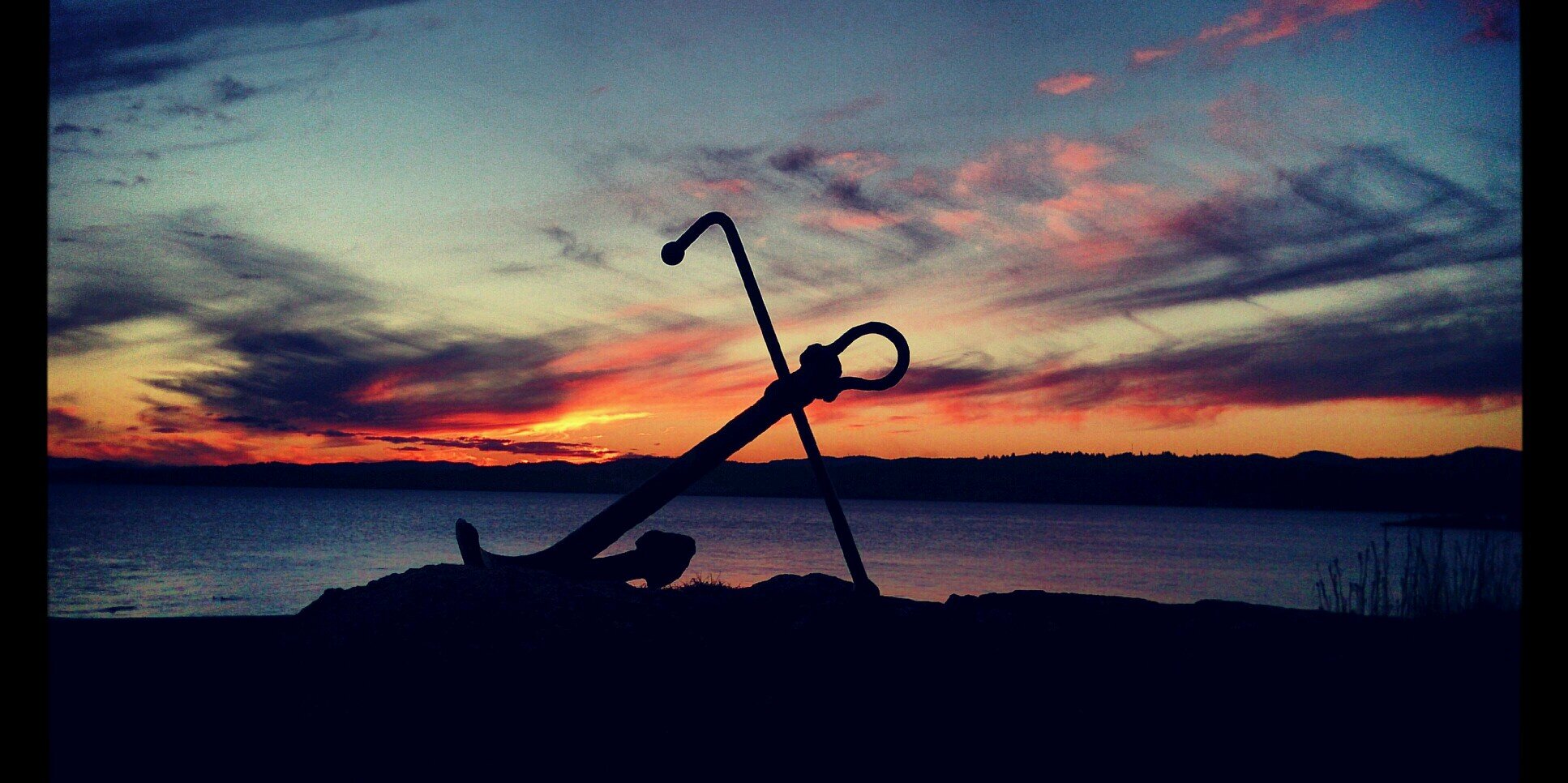 meladee33's profile banner image