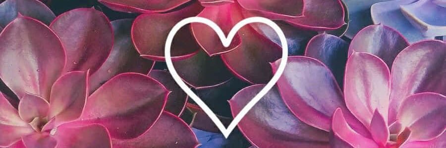 mcjax_'s profile banner image