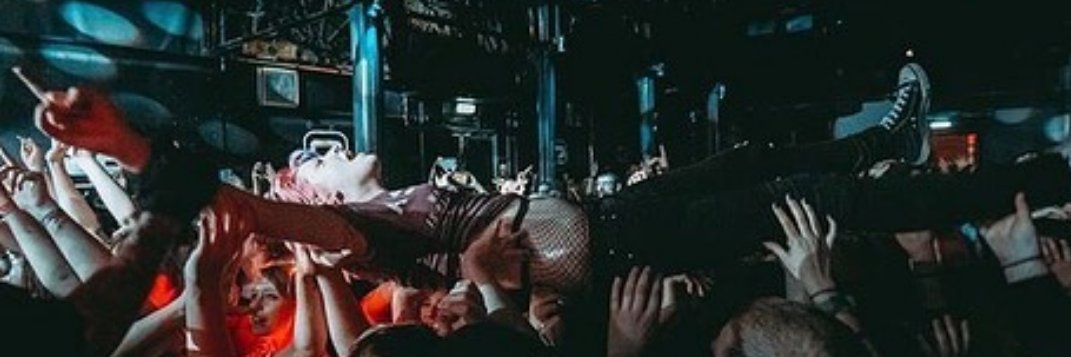 el_d0ge's profile banner image