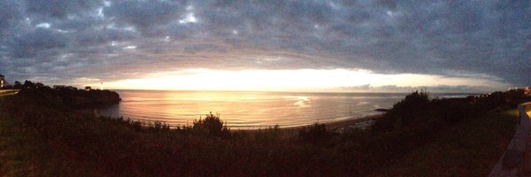 AmyMacD Profile Banner