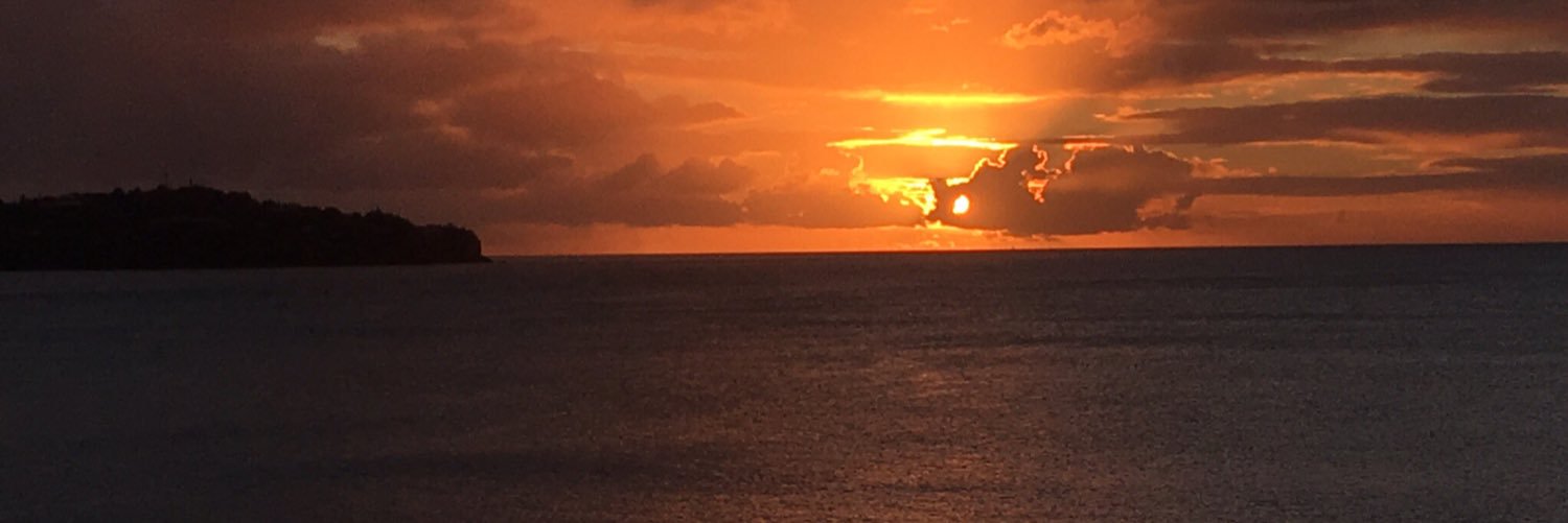 sarahroserob's profile banner image