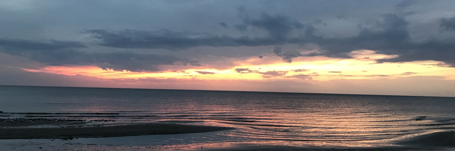 tanyalmb's profile banner image