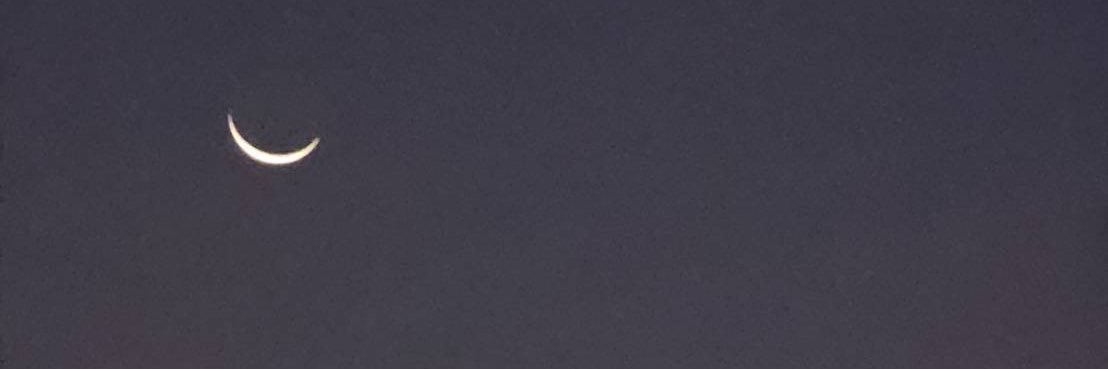 PichyPit's profile banner image