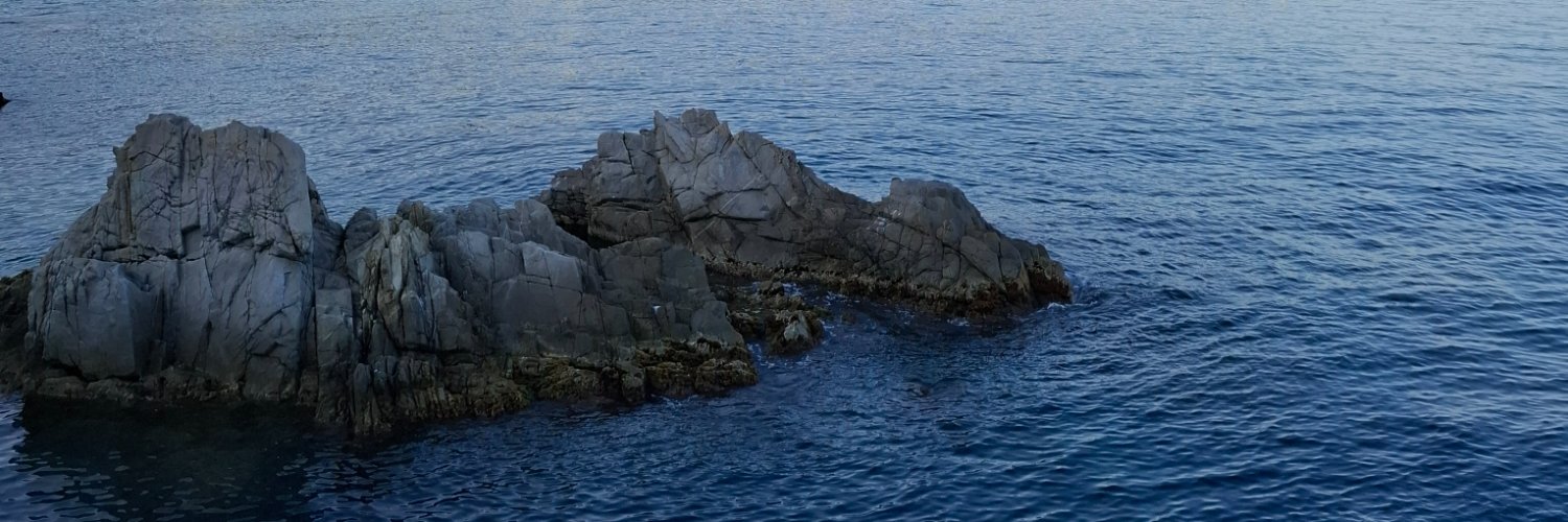 Vivianbcn's profile banner image