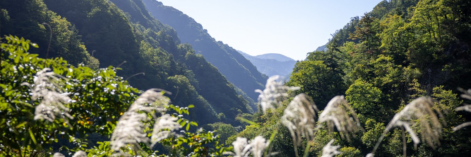 Nir Zabari‎ banner