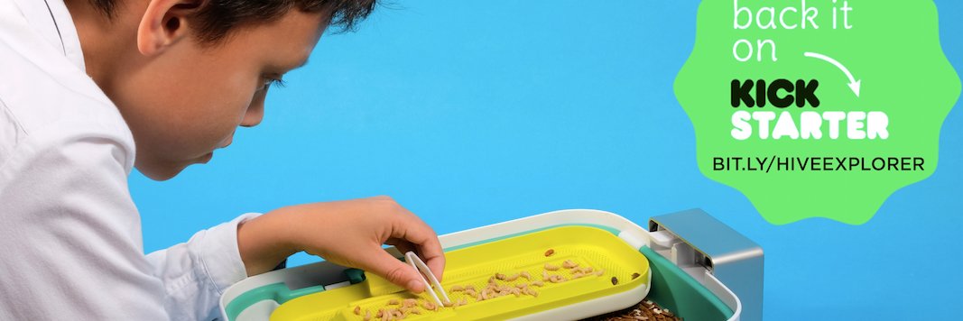 L I V I N banner