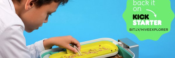 LStudioBird Profile Banner