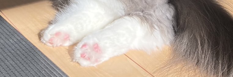 _Mmm_22's profile banner image