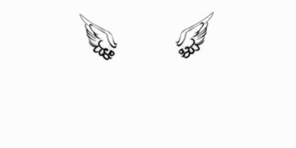 sunqkyung's profile banner image