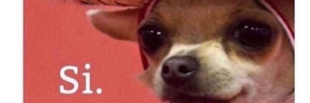 PeterAnisha's profile banner image