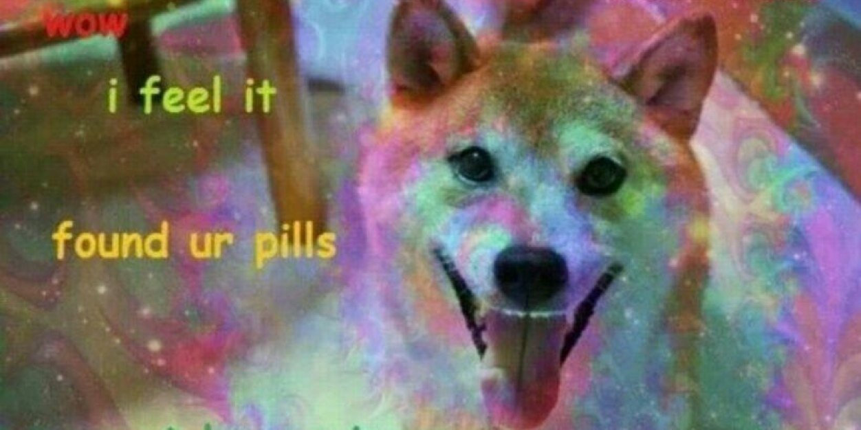 DirtyDoge's profile banner image