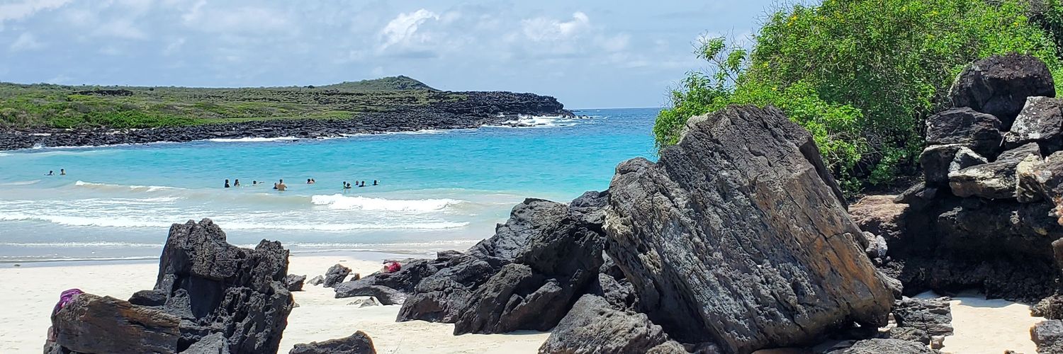 Ramiro Fonseca banner