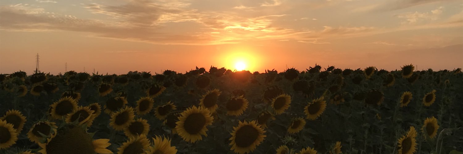 Laucalray 🌻 banner