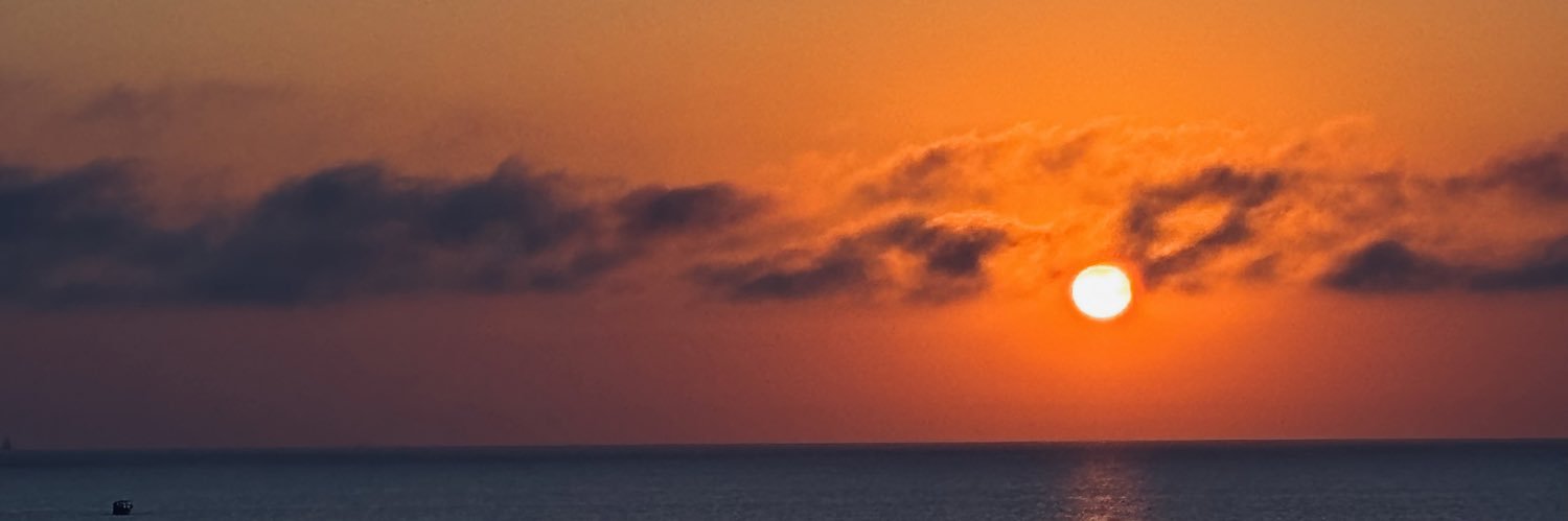 CaroPissoni's profile banner image