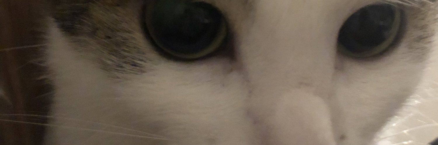 matthewswift27's profile banner image
