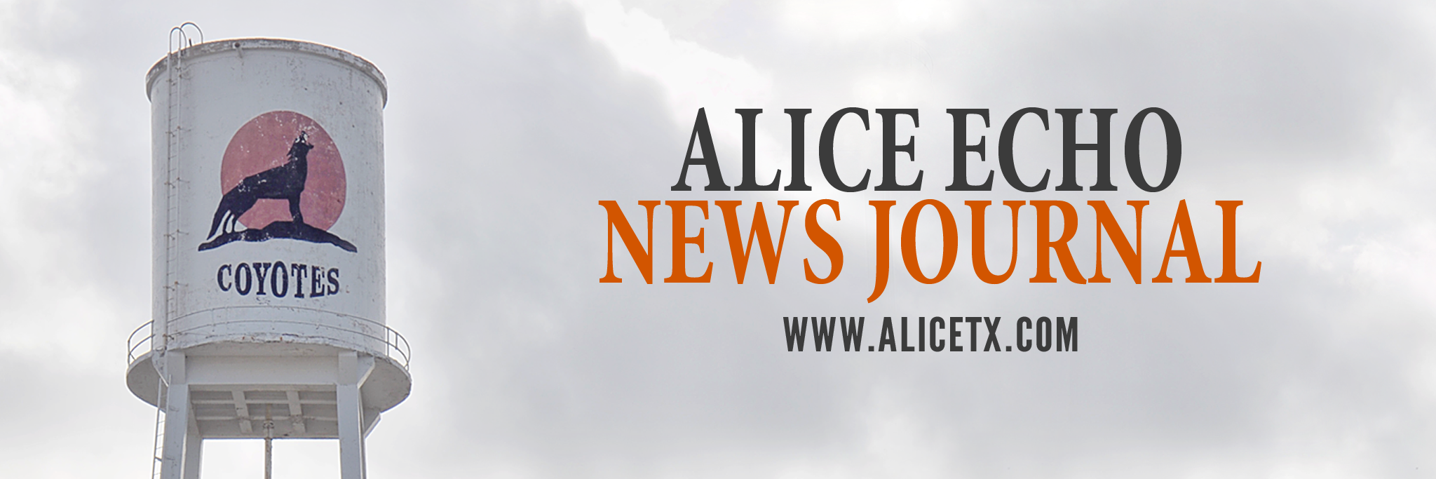 Alice Echo-News banner