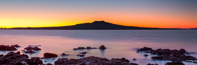 Taxidriver and chef to the tiny humans I made. banner