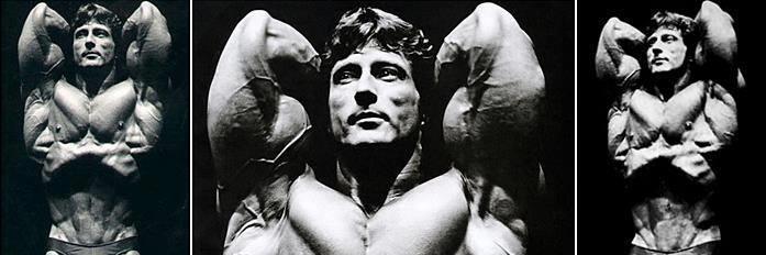 FitFam Tweets banner