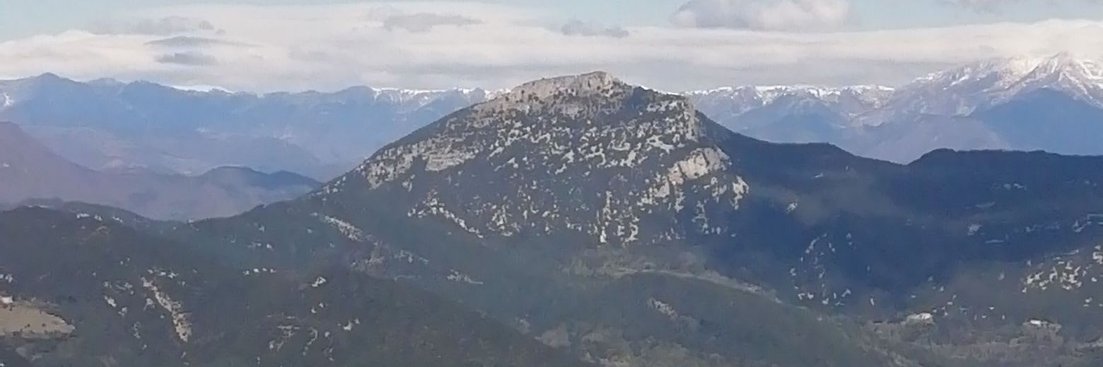 Pere Gómez 🎗 banner