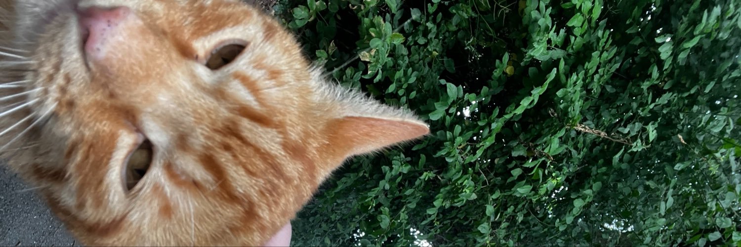 chloeavfc_'s profile banner image