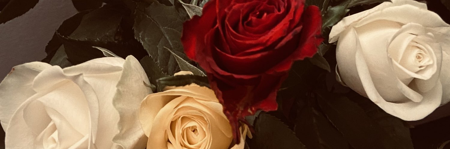 tilly rose banner
