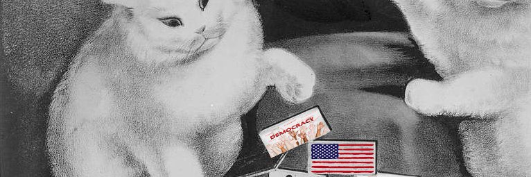 LibOwnedByCat's profile banner image