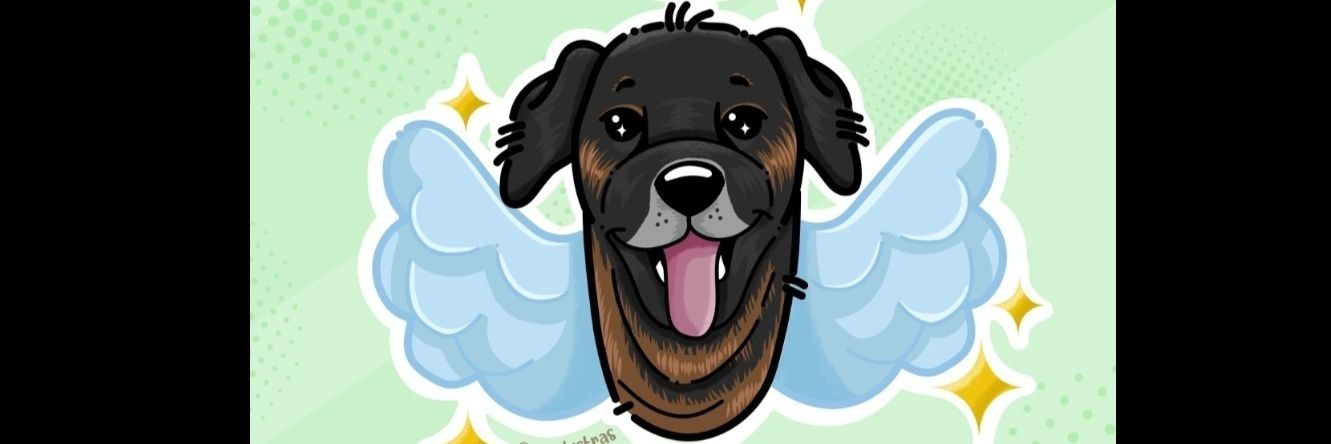lua_holistica's profile banner image