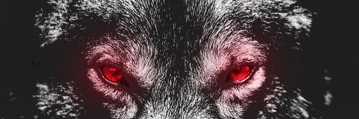 dchundley's profile banner image