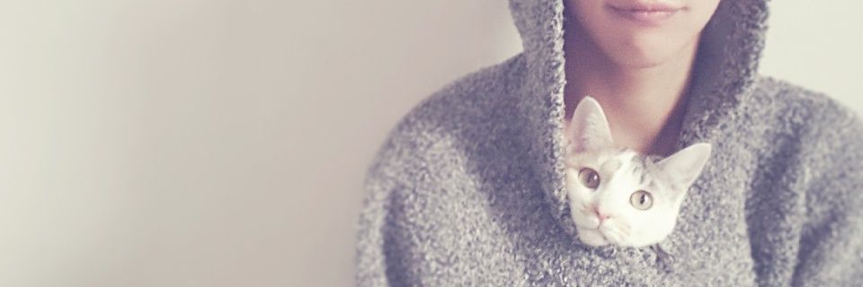 mackeykappa's profile banner image
