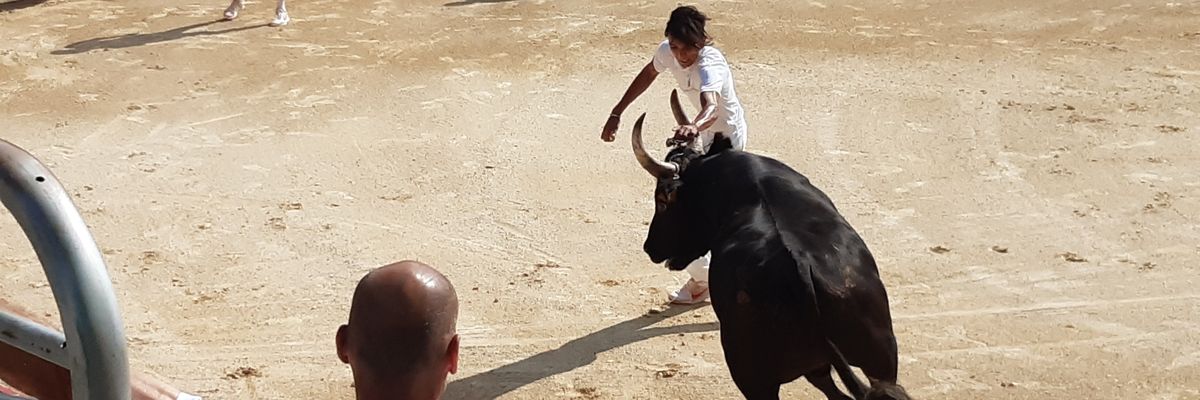BaStephba's profile banner image