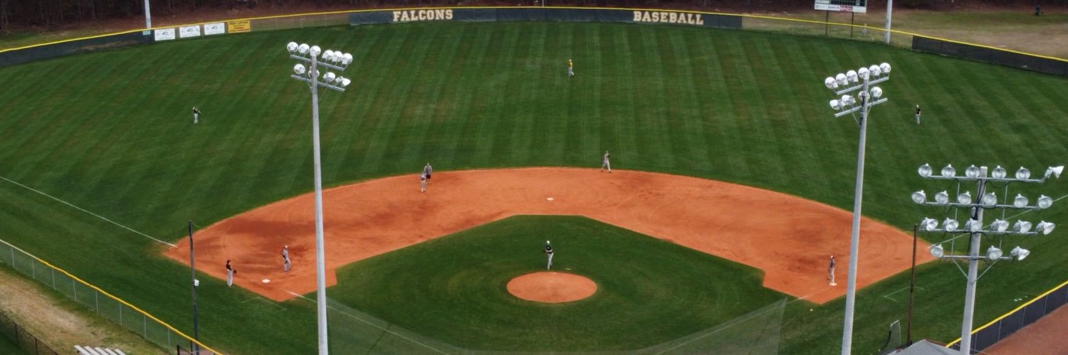 Ben Lippen Baseball banner