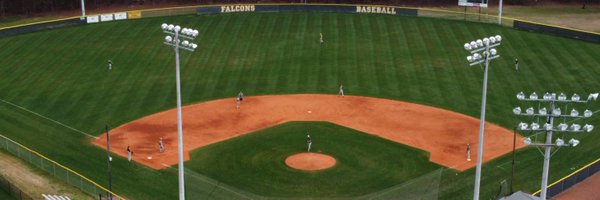 BaseballBLS Profile Banner