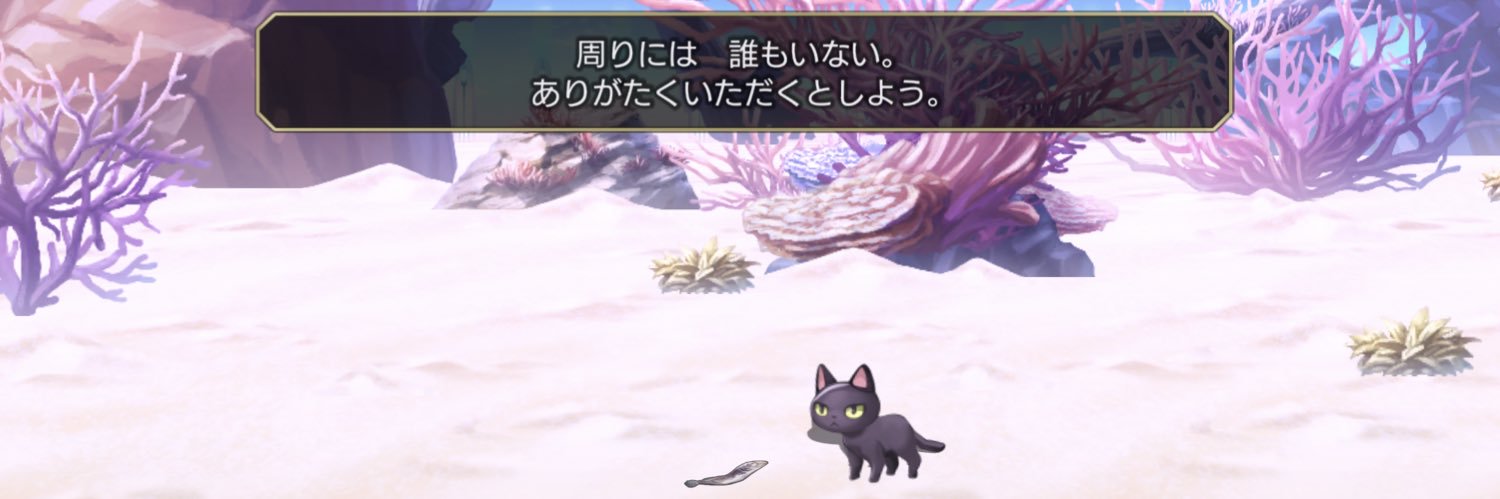 osk_jenne's profile banner image