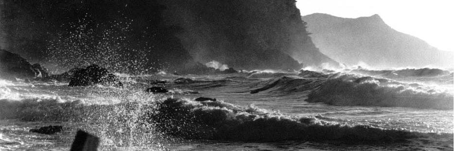 Magdalena Sastre🇪🇺 banner