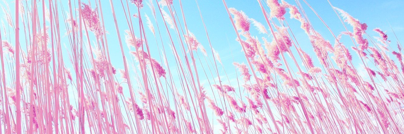 AziesNu's profile banner image
