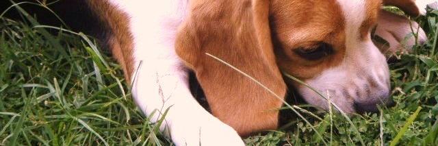mcendrab's profile banner image