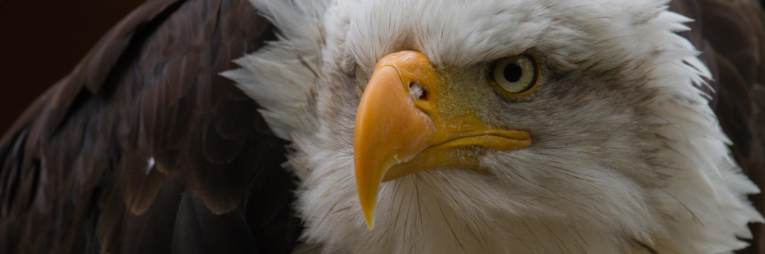 conservativebyt's profile banner image