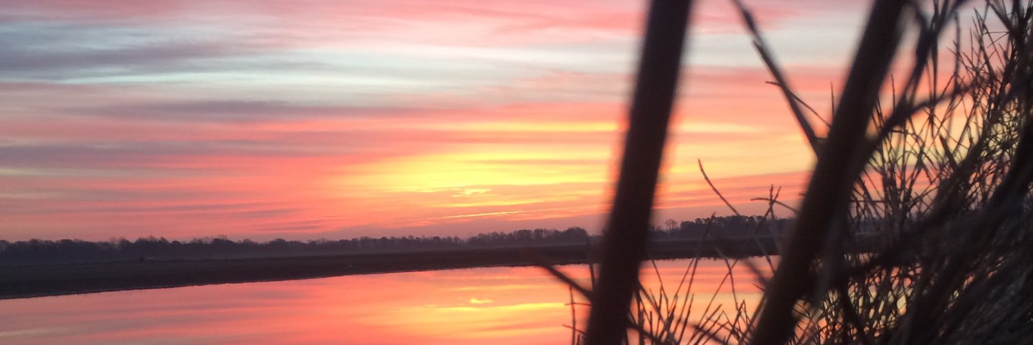 chels_peck12's profile banner image