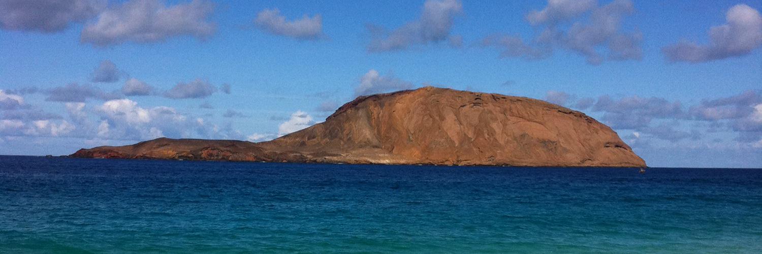 Dani Galindo ✎ banner