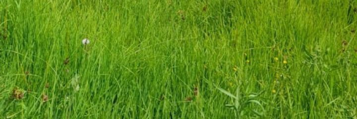 CharlesKomen's profile banner image