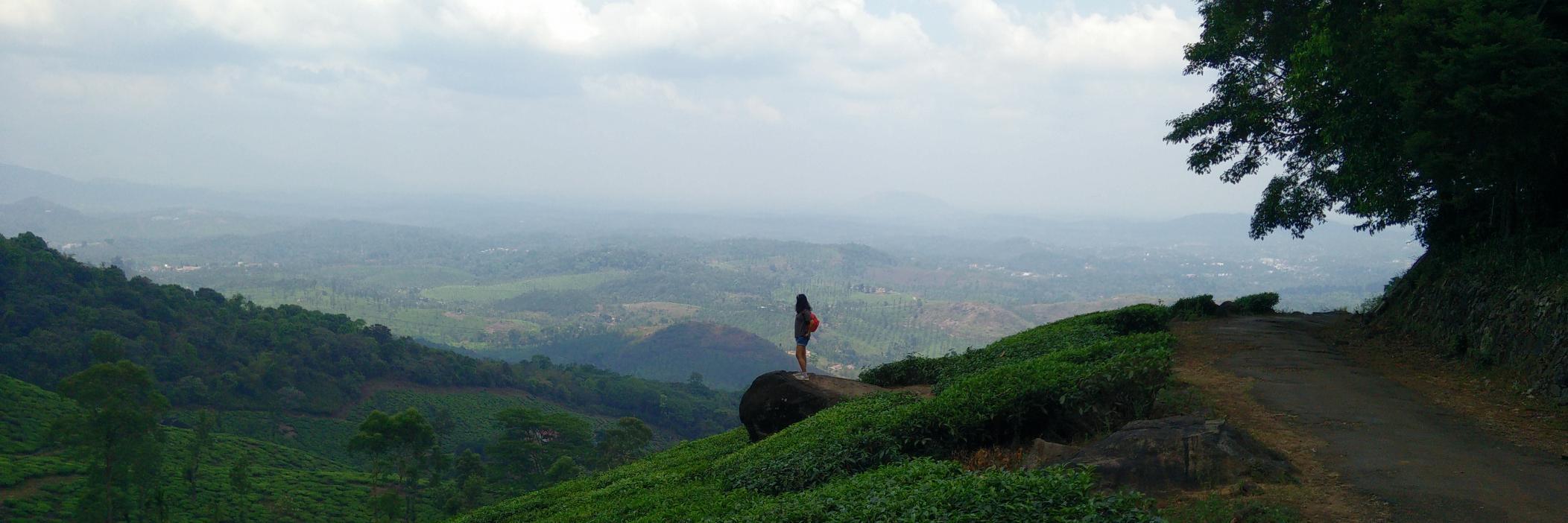 AkshaSachdev's profile banner image