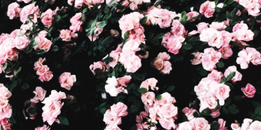 Vnaan's profile banner image