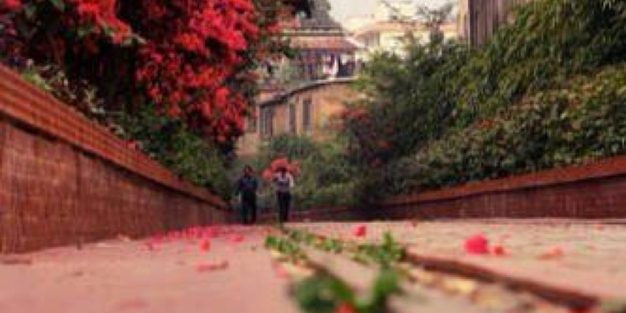 Tariq__2021's profile banner image