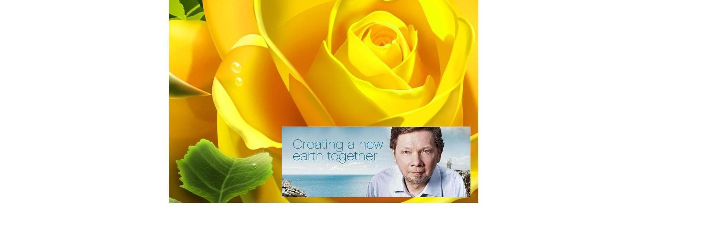ThePowerOfNowTR's profile banner image